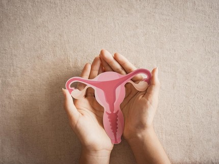9 Jenis Bentuk Vagina Dilihat dari Posisi Labia