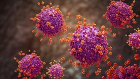Beda Influenza A dan flu biasa
