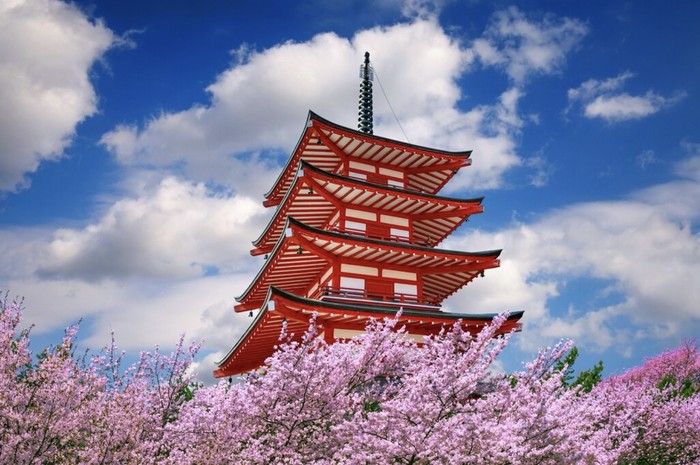 Jepang memiliki paspor terkuat ketiga di dunia dengan akses bebas visa ke 189 negara./ Foto: Freepik.com/tawatchai07