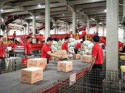 J&T Express Catat Rekor Pengiriman Global Selama 11.11, Naik 9% YoY