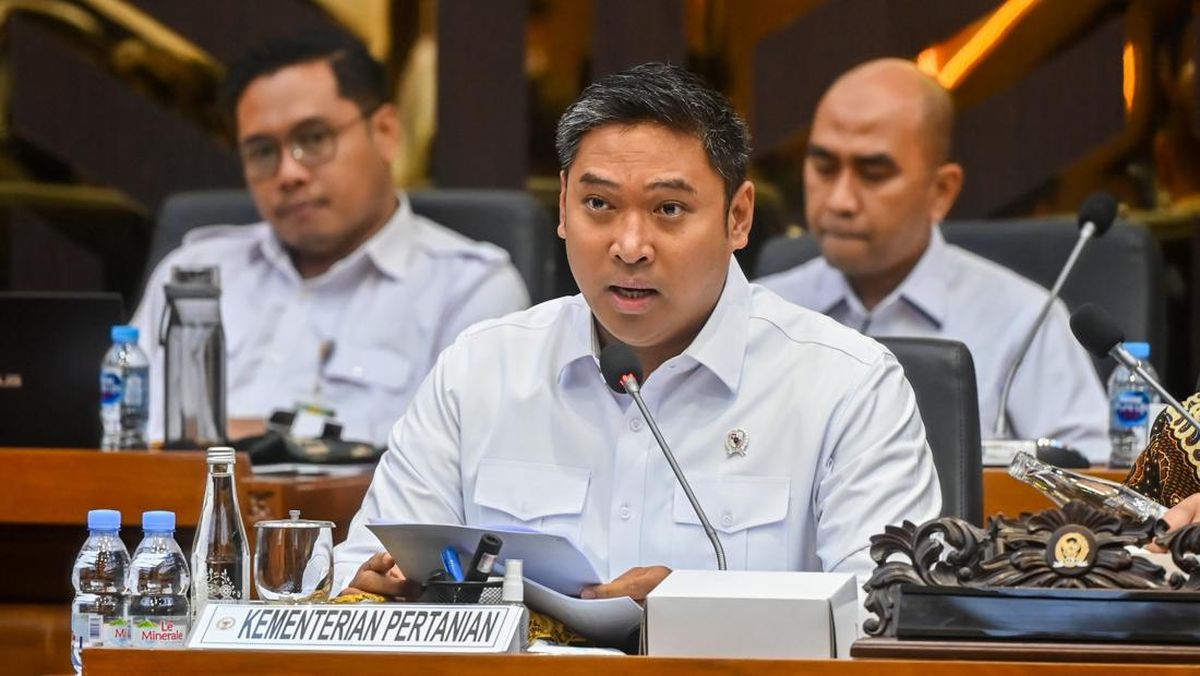 Kementan Tetapkan Harga Ayam Hidup Rp19.500, Telur Rp24 Ribu per Kg
