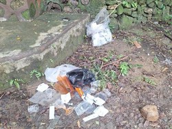 Ketahuan Nyampah, Kru Film Disanksi Bersihkan Lokasi Syuting di Hutan Wanagama