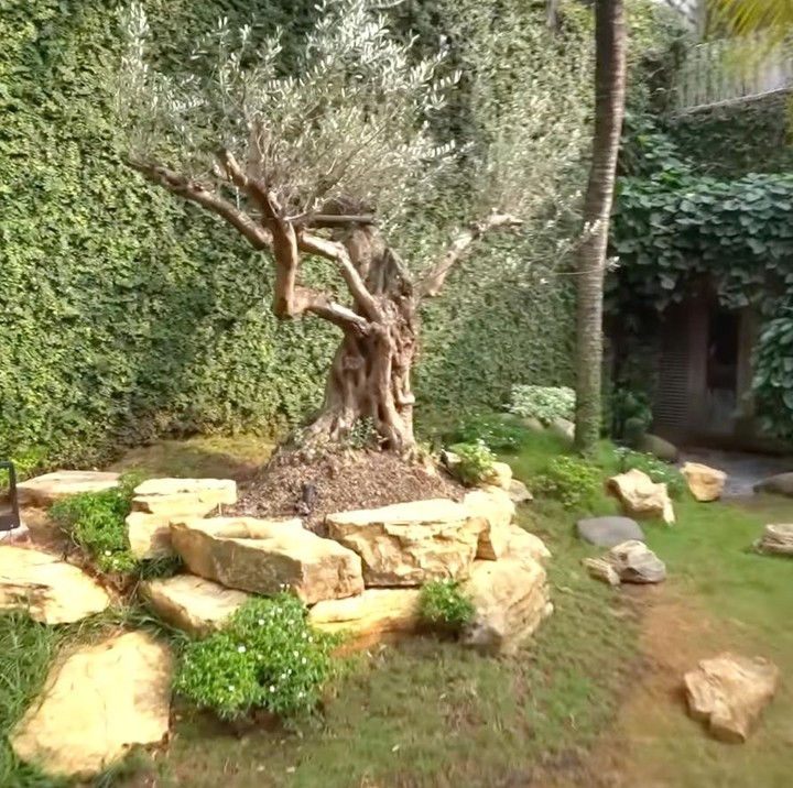 <p>Salah satu spot yang enggak kalah menarik perhatian adalah sebuah pohon yang berada di bagian pinggir halaman rumahnya.&nbsp;Pohon itu dihiasi dengan batu bobbing yang menambah keindahan tampilan area sekitarnya. (Foto: Youtube @deHakims)</p>