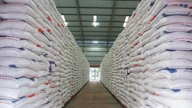 Pengamat: Swasembada RI Bikin Stok Beras Global Cetak Rekor Tertinggi