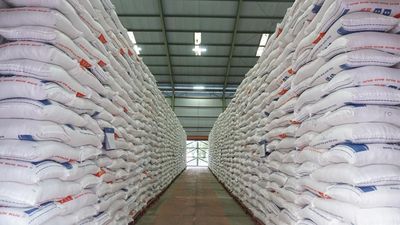 Pengamat: Swasembada RI Bikin Stok Beras Global Cetak Rekor Tertinggi