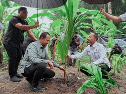 Pemkab Badung Dukung Program Ketahanan Pangan dan Penanaman Kelapa Nasional