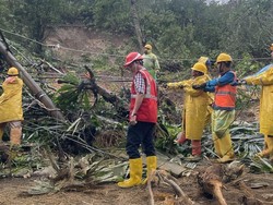 PLN Percepat Pemulihan Listrik di Lokasi Bencana Sumut, Turunkan 701 Petugas