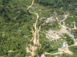 Video: Menhut Raja Juli Klaim Angka Deforestasi Hutan Berkurang