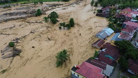 Walhi: Kerusakan Hutan Batang Toru Jadi Pemicu Banjir & Longsor Sumut