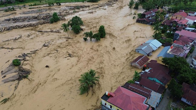 Walhi Sumut menyatakan banjir dan longsor di Sumut akibat kerusakan Ekosistem Batang Toru. Tujuh perusahaan diduga terlibat dalam kerusakan hutan.