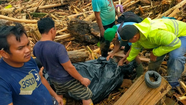 Bencana banjir dan tanah longsor terjadi di sejumlah daerah di Sumatra, berikut daftar daerah yang terdampak bencana.