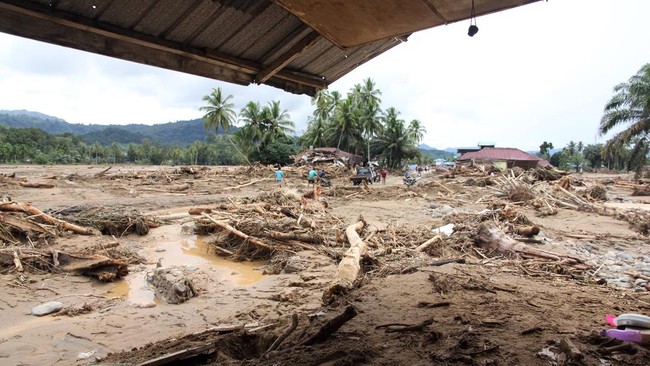 BNPB membuka hotline atau saluran khusus bagi warga yang kesulitan menghubungi keluarga akibat bencana banjir dan longsor di wilayah Sumatra.