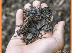 Video: Kompos Bukan Sampah, Tapi Solusi