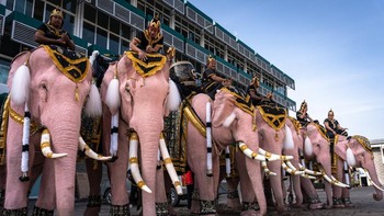 FOTO: Gajah Pink Beri Penghormatan Terakhir untuk Ibu Suri Thailand