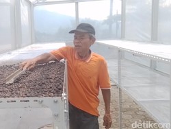 Green House Bertenaga Surya Bikin Petani Kopi Sumedang Semringah