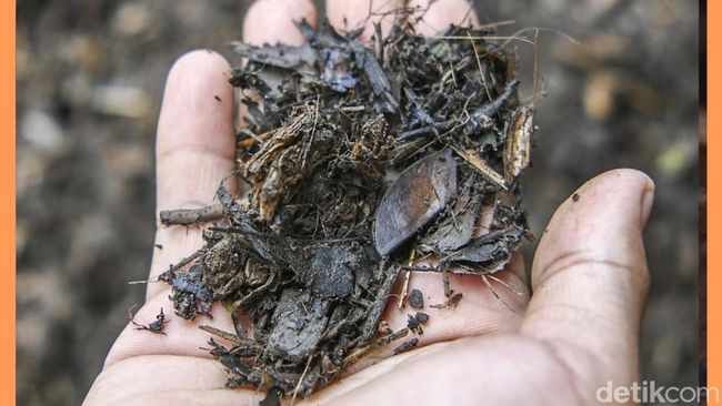 Tren Kompos Jasad Manusia yang Bikin Ngeri-ngeri Sedap