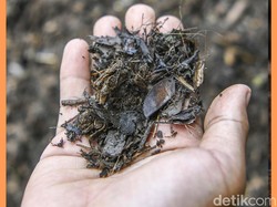 Video:Kompos Bukan Sampah, Tapi Solusi