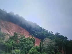 7 Orang Tertimbun Longsor di Pasaman Barat Sumbar, 1 Selamat