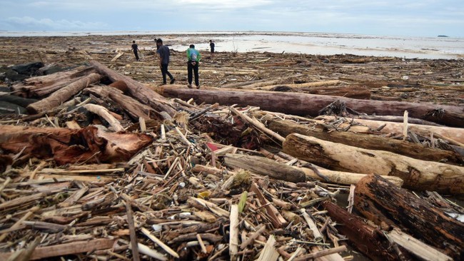 Sebuah video memperlihatkan tumpukan ribuan potongan kayu memenuhi Pantai Parkit, Padang, Sumatra Barat usai banjir melanda wilayah tersebut.