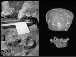 Jejak Peradaban Kuno di Borneo, dari Zaman Es hingga Kerajaan