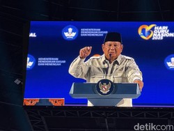 Prabowo Bentuk Satgas Khusus Bangun 300 Ribu Jembatan di Seluruh Pelosok RI