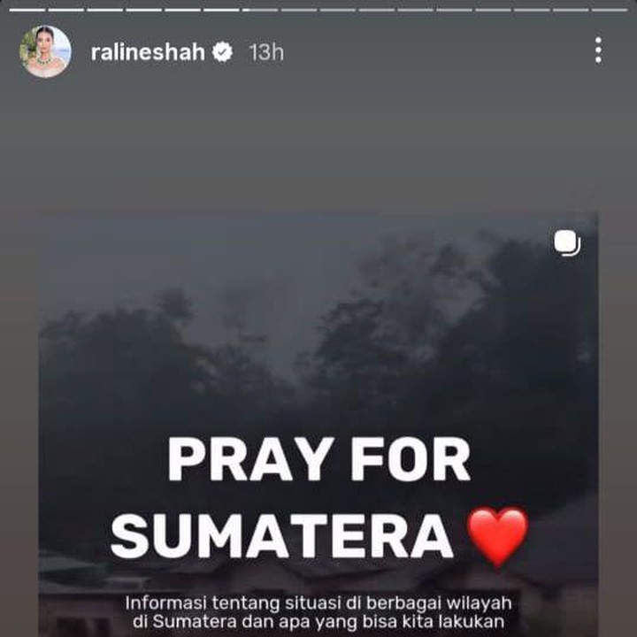 <p>Perempuan 40 tahun itu juga terlihat mengunggah ulang postingan di Instagram Stories tentang informasi terkini situasi di berbagai wilayah di Sumatera dan apa yang bisa dilakukan.&nbsp;(Foto: Instagram @ralineshah)</p>