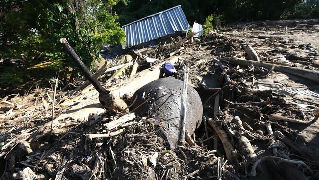 Ada 28 perusahaan diduga jadi 'biang kerok' bencana hidrometerologi banjir dan longsor di tiga provinsi Sumatra pada akhir November 2025 lalu dicabut izinnya.
