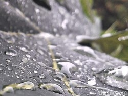 Prakiraan Cuaca Cirebon Hari Ini, Minggu 30 November 2025: Hujan Ringan