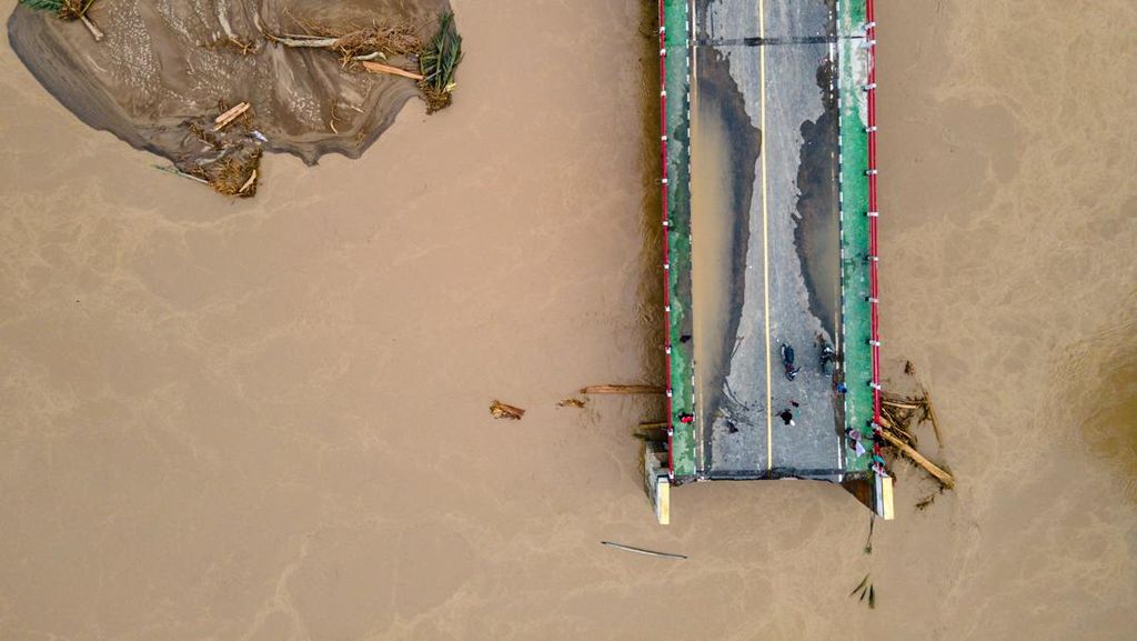 824 Ribu Hewan Ternak Terdampak Banjir Sumatra, Terbanyak Unggas