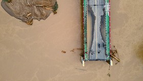 824 Ribu Hewan Ternak Terdampak Banjir Sumatra, Terbanyak Unggas