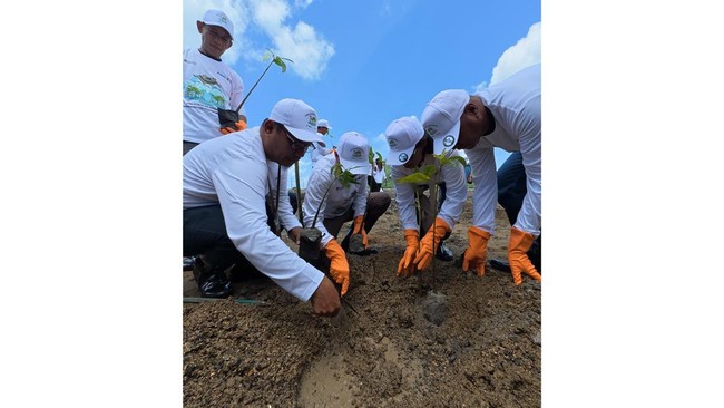 PNM terus berkontribusi pada penghijauan dengan program 'PNM Hijaukan Negeri', tanam 374.839 pohon untuk dukung reboisasi dan keseimbangan lingkungan.
