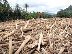 Sumatera Dilanda Banjir, Pakar: Kerusakan Hutan Memperparah Dampak