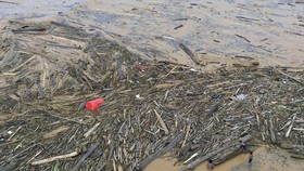 Polisi: PT MPL Punya Izin Pemanfaatan Hutan Mentawai 45 Tahun