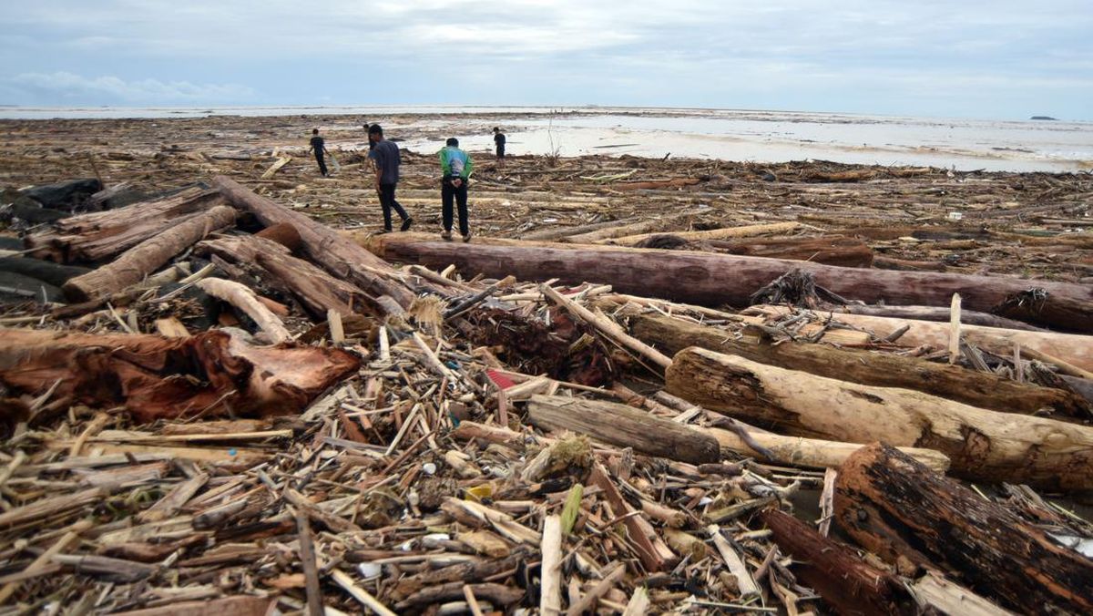 Polisi Setop Penyelidikan Temuan Kayu Gelondongan di Lampung