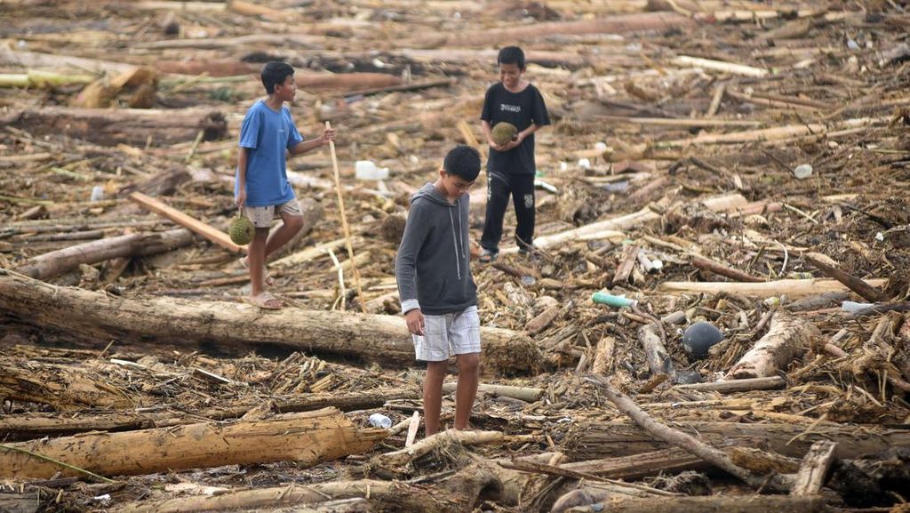 Kemenhut Umumkan Kayu Hanyut Imbas Banjir Bisa Dimanfaatkan Warga