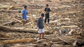 Kemenhut Umumkan Kayu Hanyut Imbas Banjir Bisa Dimanfaatkan Warga