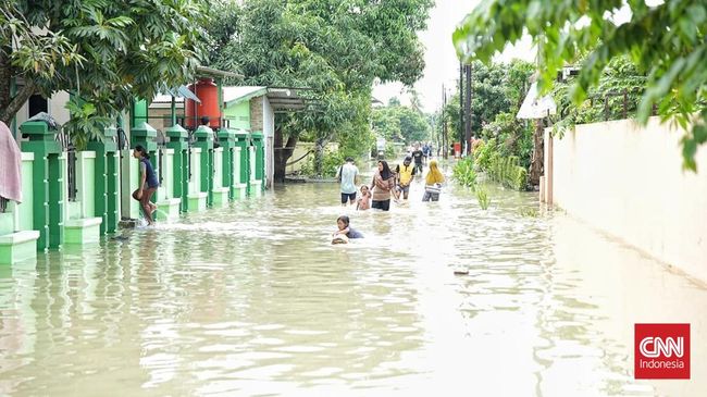Ikatan Dokter Anak Indonesia (IDAI) mencatat sejumlah penyakit yang banyak menyerang anak-anak usai bencana banjir dan longsor di tiga provinsi di Sumatra.