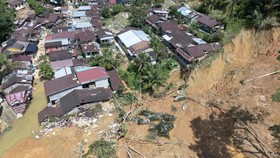 Update BNPB: Korban Meninggal Bencana Sumatra Capai 604 Orang