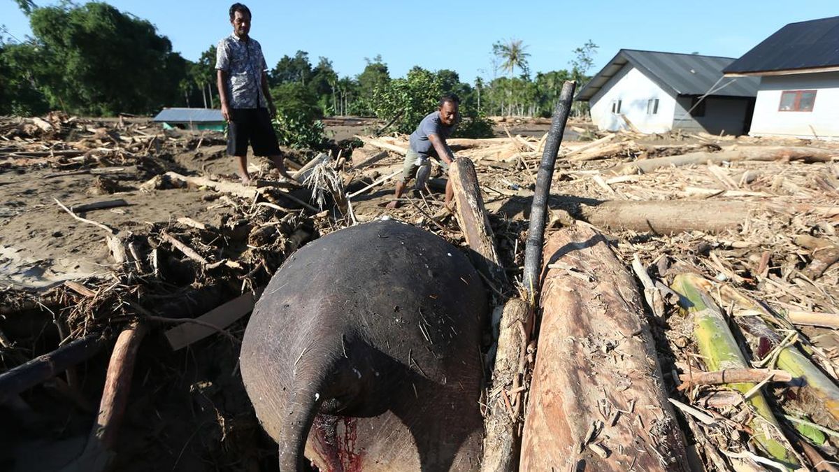 Koalisi Sipil Desak Status Bencana Nasional Imbas Banjir Besar Sumatra