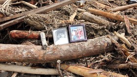 KLH Akan Revisi Persetujuan Lingkungan 8 Perusahaan di DAS Batang Toru