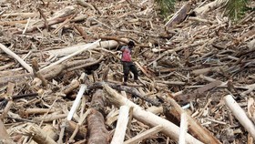 Rekam Citra Satelit dan 8 Perusahaan Penyebab Banjir Sumatra