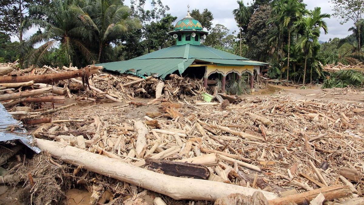 Tersangka Kasus Kayu Gelondongan jadi pemicu Banjir Sumatra Segera Disidang