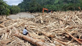 Ribuan Kayu Gelondongan Terseret Banjir Sumatera, Kemenhut Buka Suara