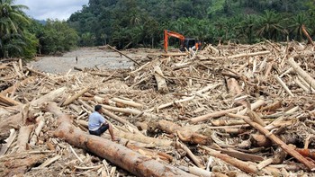 FOTO: Misteri Gelondongan Kayu di Banjir Bandang Tapanuli Selatan