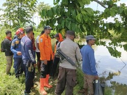 2 Pria di Luwu Diterkam Buaya Saat Cari Keluarga Hilang di Empang