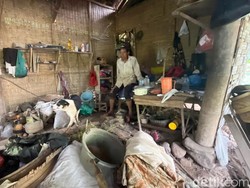 22 Tahun Hidup di Jurang Mojokerto, Pasutri Ini Mampu Bantu Ekonomi 4 Anak