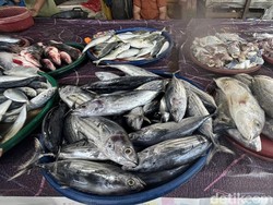 Pasokan Susah, Harga Ikan di Medan Melambung Pasca Banjir