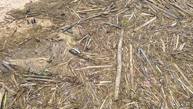 Citra Satelit Rekam Deforestasi Brutal di Sumut, Walhi Bantah Bobby