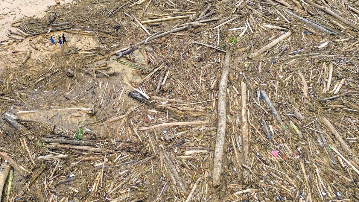 Citra Satelit Rekam Deforestasi Brutal di Sumut, Walhi Bantah Bobby