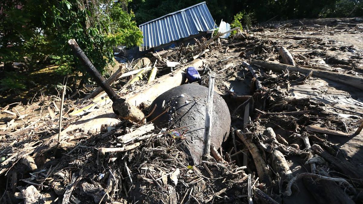 Satgas PKH Sebut Ada 31 Perusahaan Diduga Penyebab Bencana Sumatra